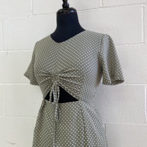 Blue bird green polka dot dress